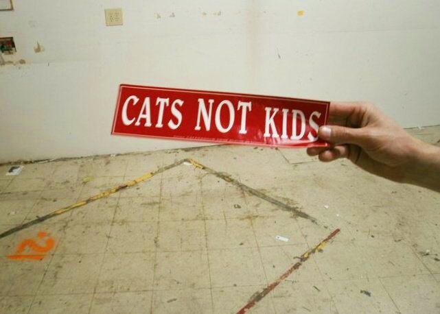 Cats Not Kids